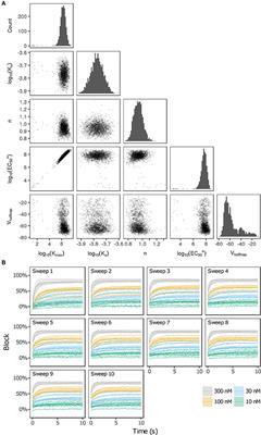 Uncertainty Quantification Reveals the Importance of Data Variability and Experimental Design Considerations for in Silico Proarrhythmia Risk Assessment